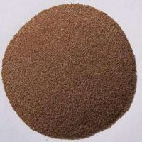 草坪夏季草交播狗牙根，矮生百慕大季節(jié)來臨，提前預備種子